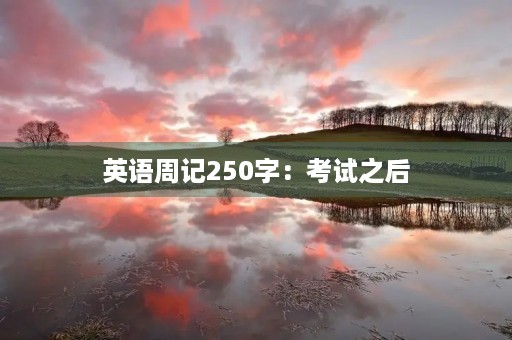 英语周记250字：考试之后