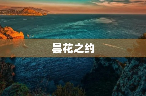 昙花之约 昙花之约