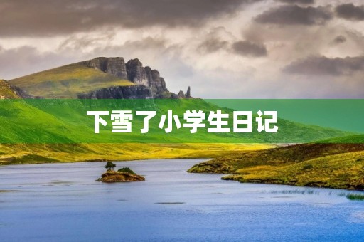 下雪了小学生日记 下雪了小学生日记
