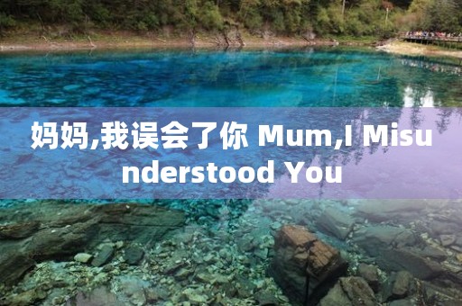 妈妈,我误会了你 Mum,I Misunderstood You 妈妈,我误会了你 Mum,I Misunderstood You