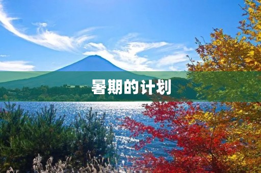 暑期的计划 暑期的计划
