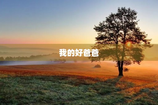 我的好爸爸 我的好爸爸