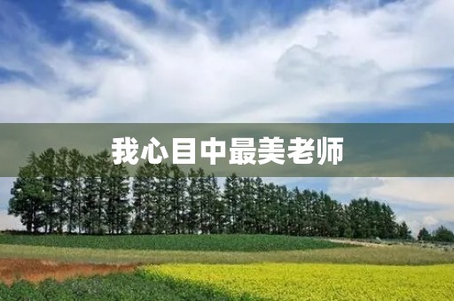 我心目中最美老师