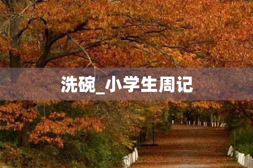洗碗_小学生周记 洗碗_小学生周记