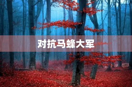 对抗马蜂大军