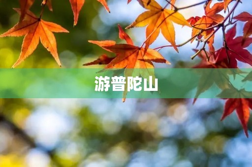 游普陀山 游普陀山