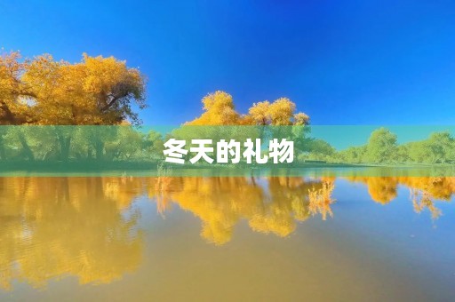 冬天的礼物
