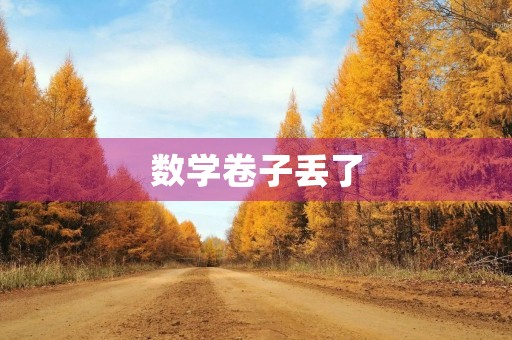 数学卷子丢了