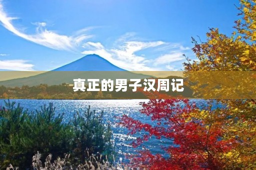 真正的男子汉周记
