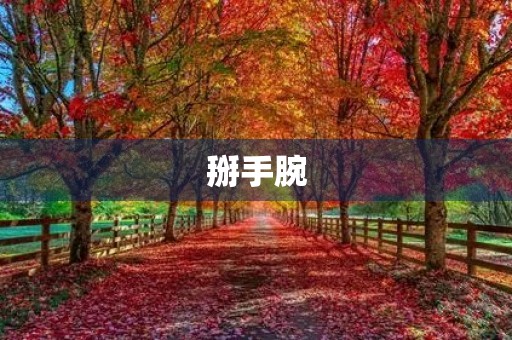 掰手腕 掰手腕