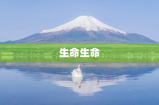 生命生命