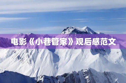 电影《小巷管家》观后感范文 电影《小巷管家》观后感范文
