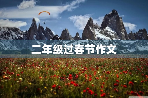 二年级过春节作文