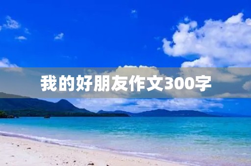 我的好朋友作文300字