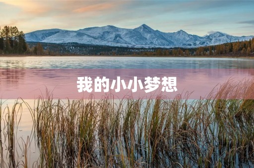 我的小小梦想