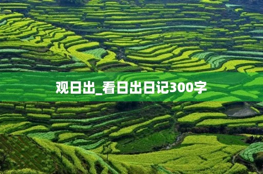 观日出_看日出日记300字