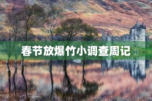 春节放爆竹小调查周记 春节放爆竹小调查周记