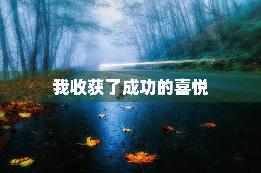我收获了成功的喜悦
