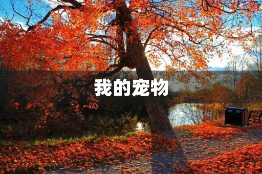 我的宠物 我的宠物