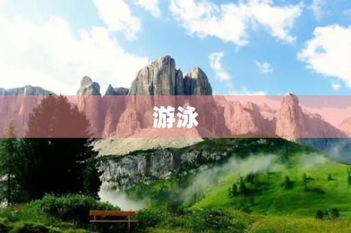 游泳 游泳
