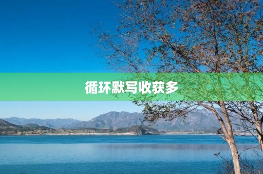 循环默写收获多