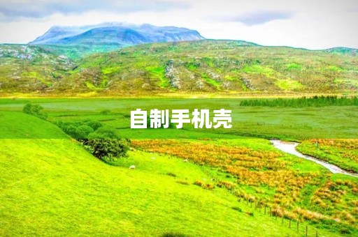 自制手机壳 自制手机壳