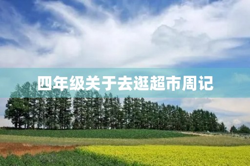 四年级关于去逛超市周记 四年级关于去逛超市周记