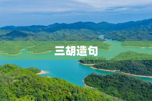 三胡造句