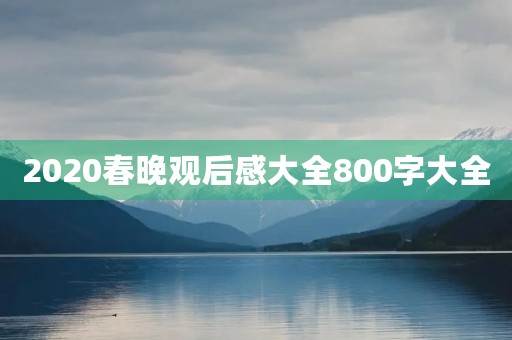 2020春晚观后感大全800字大全
