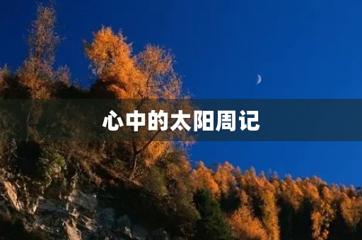 心中的太阳周记