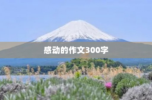 感动的作文300字 感动的作文300字