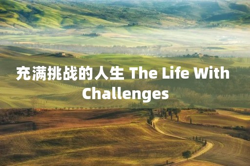 充满挑战的人生 The Life With Challenges