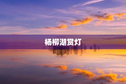 杨柳湖赏灯