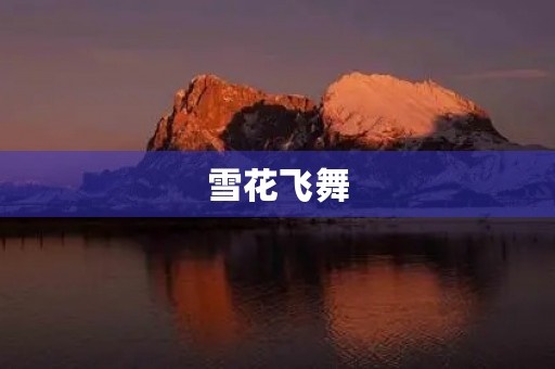 雪花飞舞