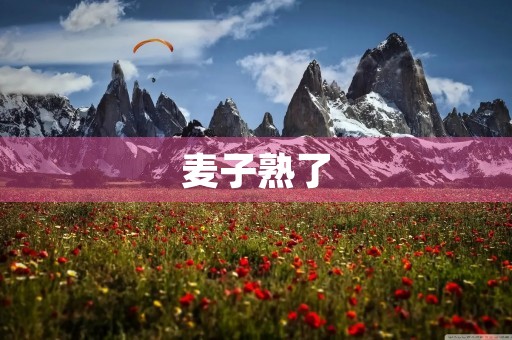 麦子熟了