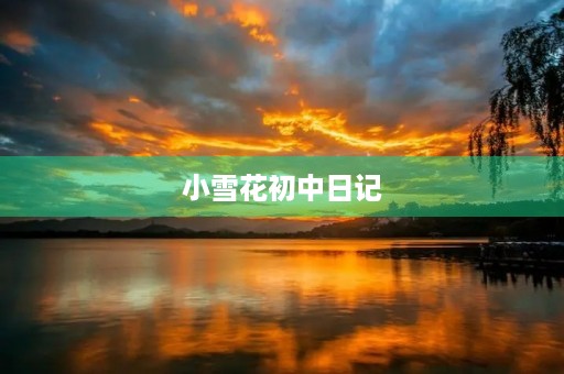 小雪花初中日记 小雪花初中日记