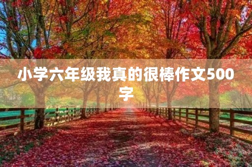 小学六年级我真的很棒作文500字