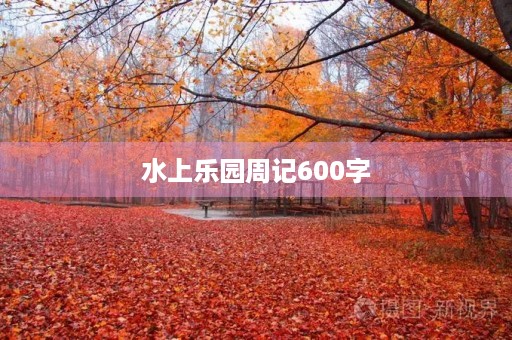 水上乐园周记600字