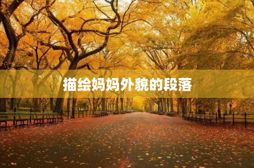 描绘妈妈外貌的段落