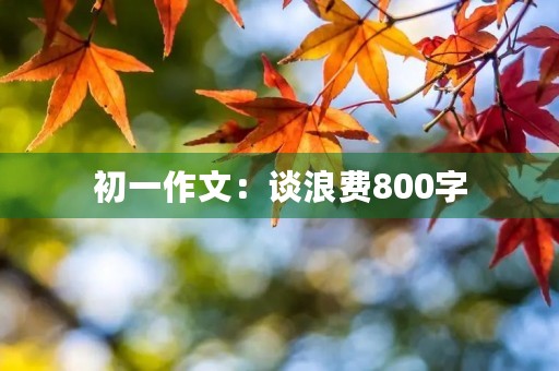 初一作文：谈浪费800字