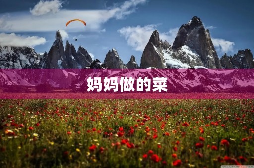 妈妈做的菜 妈妈做的菜