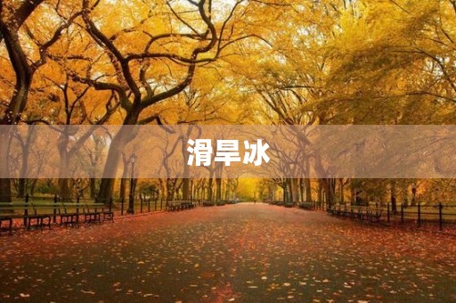 滑旱冰