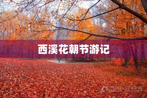 西溪花朝节游记 西溪花朝节游记