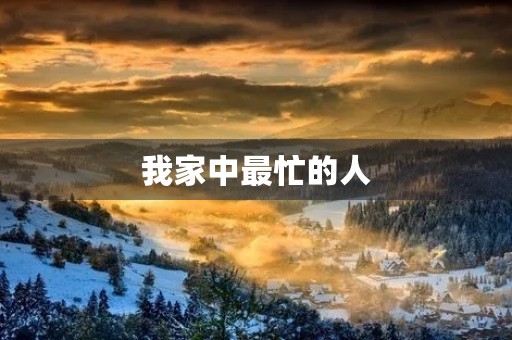 我家中最忙的人 我家中最忙的人