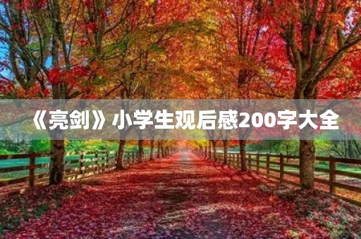 《亮剑》小学生观后感200字大全 《亮剑》小学生观后感200字大全