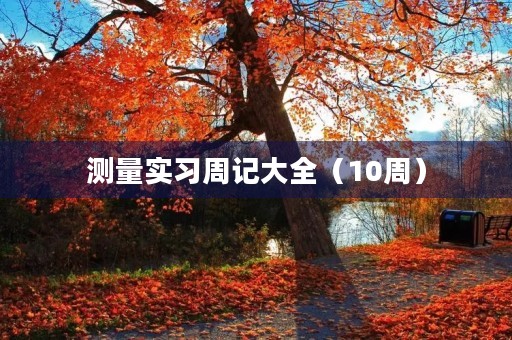 测量实习周记大全(10周) 测量实习周记大全(10周)