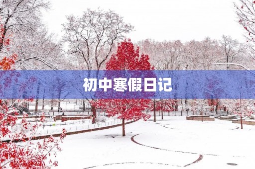 初中寒假日记 初中寒假日记