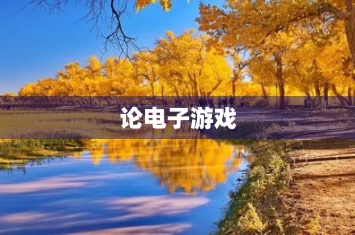论电子游戏 论电子游戏