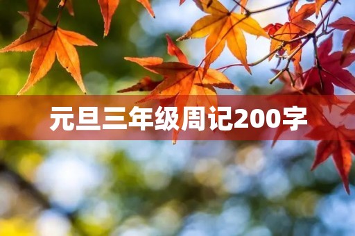 元旦三年级周记200字 元旦三年级周记200字