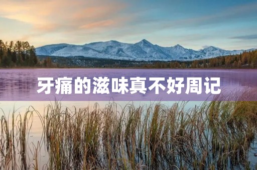 牙痛的滋味真不好周记